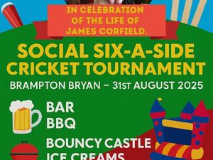 Supporting image for story: Batting for James - a day of cricket, fun and giving