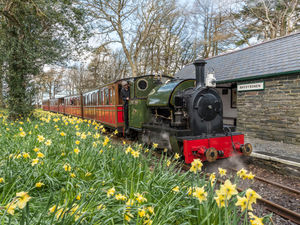 Supporting image for story: Free travel for local heroes