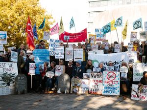 Supporting image for story: Loss of trees on controversial Shrewsbury relief road 'regrettable’