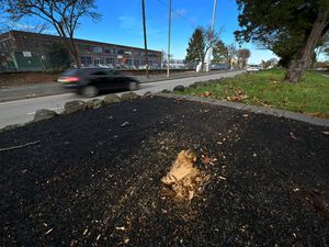 Supporting image for story: 'One of our wolves is missing' Fallen wolf statue is taken away to be repaired after it comes down overnight