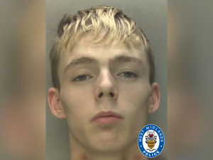 Supporting image for story: Child rapist, 19, who abused four children is sentenced
