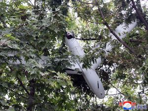 Supporting image for story: North Korea claims it discovered remains of a South Korean drone in its capital
