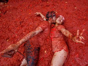 Supporting image for story: Tons of overripe tomatoes become projectiles in Spain’s Tomatina food fight