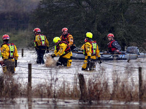 Supporting image for story: Stricken sheep saved in Rugeley as river bursts banks