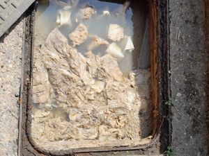 Supporting image for story: Grim images released as part of plea not to flush wet wipes or oil down drains