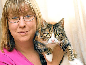 Supporting image for story: Lost cat Lily is back after three-year paws