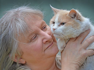 Supporting image for story: Rescue home's emotional appeal for funds to care for blind cat after five years as a stray
