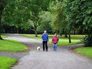 Supporting image for story: More than 250 people have say on plans to invest £500,000 to improve Wolverhampton park