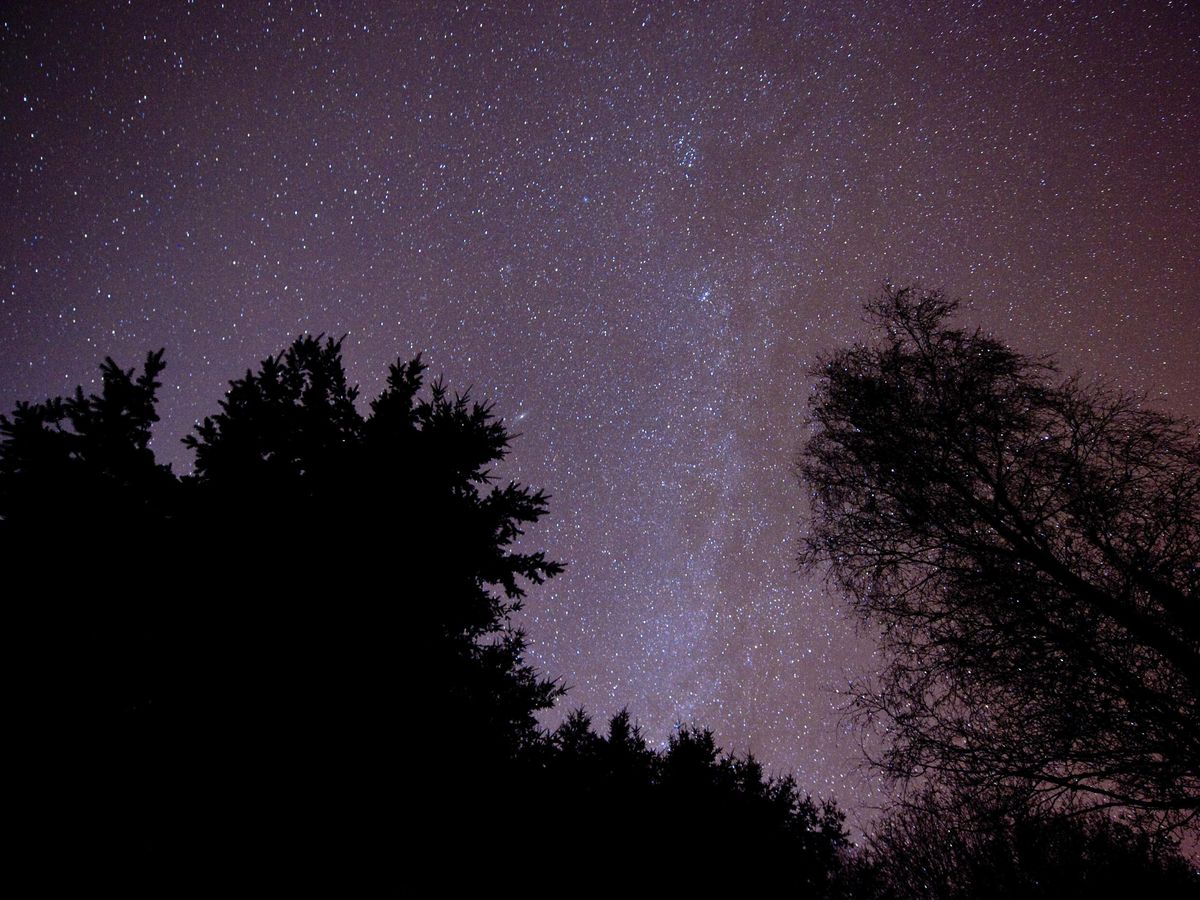 Space rocket company &lsquo;on the cusp of launches&rsquo; to appoint administrators