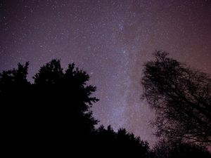 Supporting image for story: Space rocket company ‘on the cusp of launches’ to appoint administrators