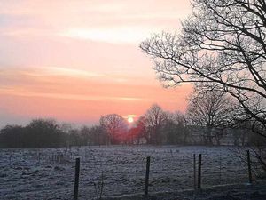 Supporting image for story: Frosty scene captured on phone