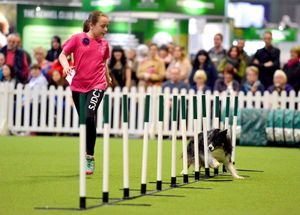 Crufts at the NEC in Birmingham