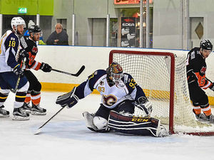 Supporting image for story: Miller time as Telford Tigers retain forward