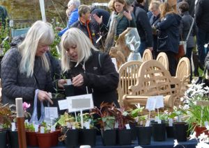  Sugnall Walled Garden Spring Plant Fair on Sunday 29th March