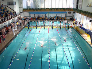 Supporting image for story: Reopening date finally set for Shrewsbury Quarry swimming pool after 'long road' of delays