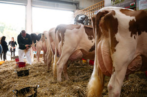 UK Dairy Show 2023 at Telford International Centre.