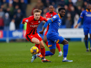 Supporting image for story: Paul Hurst tells Shrewsbury Town midfielder to keep it simple