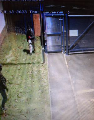 CCTV released by the school