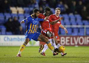 Supporting image for story