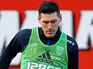 Supporting image for story: Gareth Barry targets Brighton win to kick-start West Brom survival push