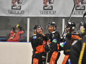 Supporting image for story: Telford Tigers boss pleased with a point