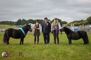 Last year at Kington Show
