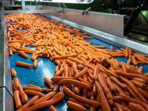 Supporting image for story: Whitchurch business helps deliver post-harvest processing