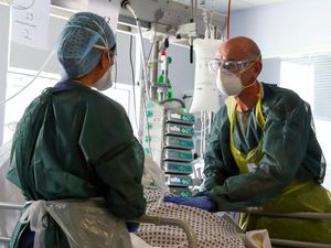 Supporting image for story: More than 500 scientists to map Covid-19 effects and treatments in blood