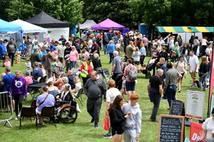 Halesowen Carnival at Highfield Park.