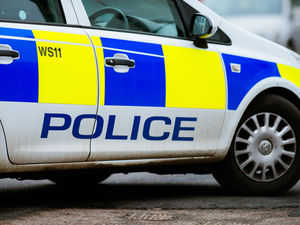 Supporting image for story: Dog reunited with Dudley owner after thieves steal Land Rover that had beloved pet inside