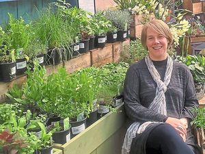 Supporting image for story: What it's like to be a herbalist: Herbs can heal – I’m the proof 