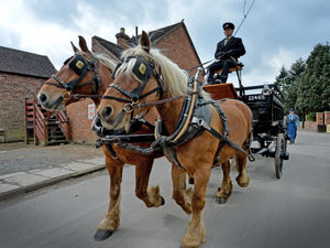 Supporting image for story: Heavy horse event gallops off to a successful start at Blists Hill Victorian Town