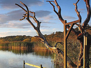 Supporting image for story: October's Star Witness winner shows Shropshire nature reserve in full glory