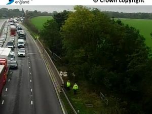 Supporting image for story: Ewe must be joking! – M6 Motorway forced to close as sheep 'wander close to carriageway'