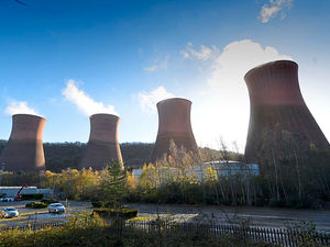 Supporting image for story: Newts to be moved ahead of Ironbridge Power Station demolition