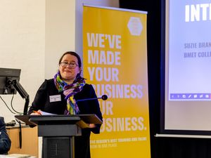 Supporting image for story: Ladder for the Black Country: New one-stop shop for employers