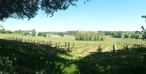 Joule’s Brewery has bought the historic Bordeaux vineyard, Château Bessan.