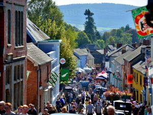 Supporting image for story: Festival co-ordinator set to be appointed for town's popular events