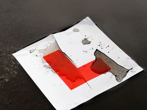 Supporting image for story: Learner drivers warned about fake offers of tests and driving lessons