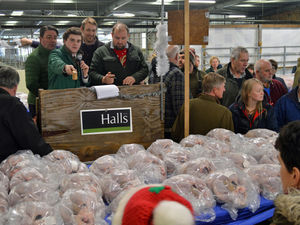 Supporting image for story: More than 300 entries for Shrewsbury Christmas Poultry Auction