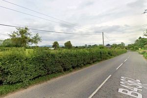 The hedgerow which would have to be moved back to provide vehicle visibility for the travellers' pitch scheme (Google Street View)