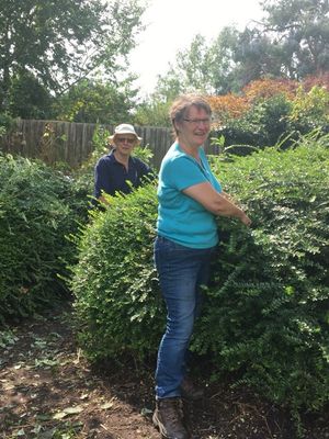 Some of the volunteers at the Cremorne Gardens 
