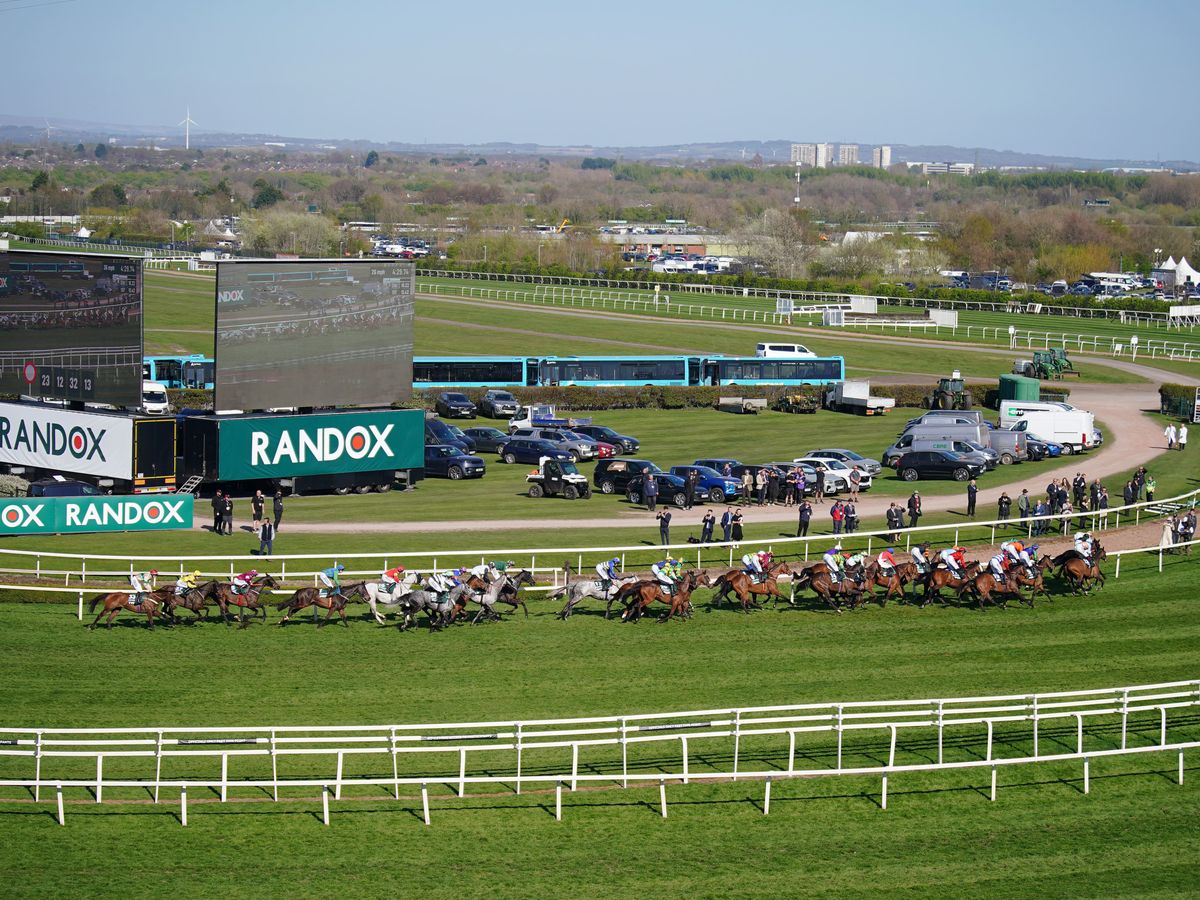 Horse that collapsed after Grand National dies