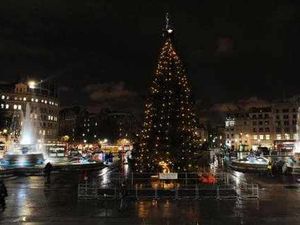 Supporting image for story: Stourbridge tree of light rememberence service cancelled