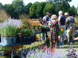 New Summer Plant Fair at Chasewater Country Park This Sunday