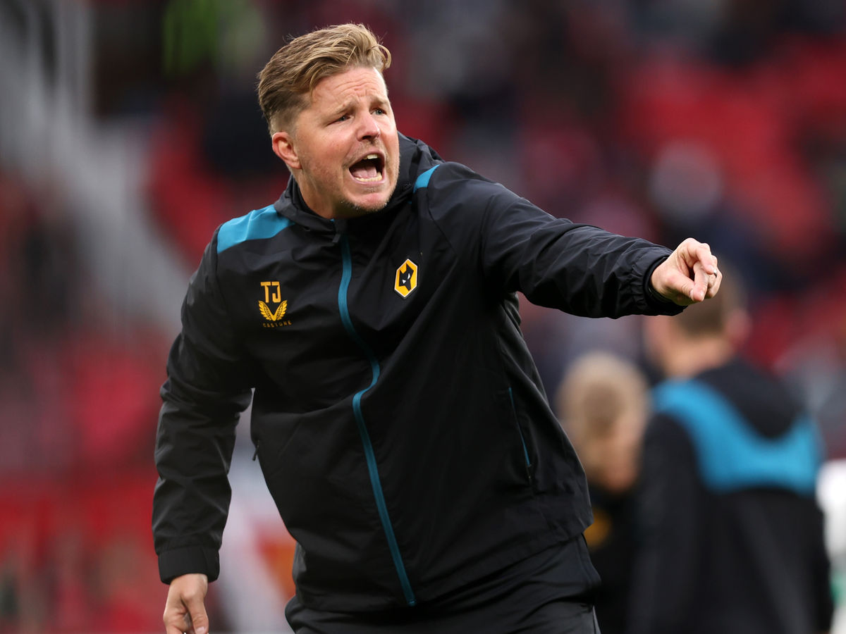 Tim Jenkins interview: Wolves assistant serious about his football ...