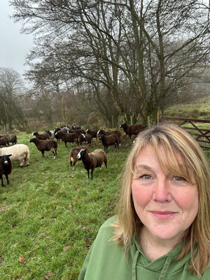 Steph MacDonald with her Zwartbles sheep