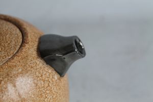 The spout designed like a ref's whistle