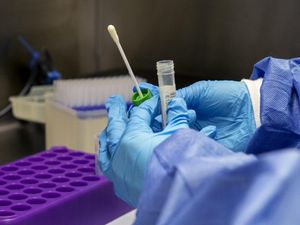 Supporting image for story: Coronavirus infections double in a fortnight but ‘growth may be slowing’