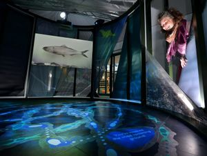 Supporting image for story: New exhibition in Ironbridge unlocks secrets of River Severn